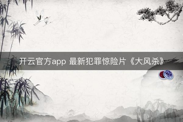 开云官方app 最新犯罪惊险片《大风杀》