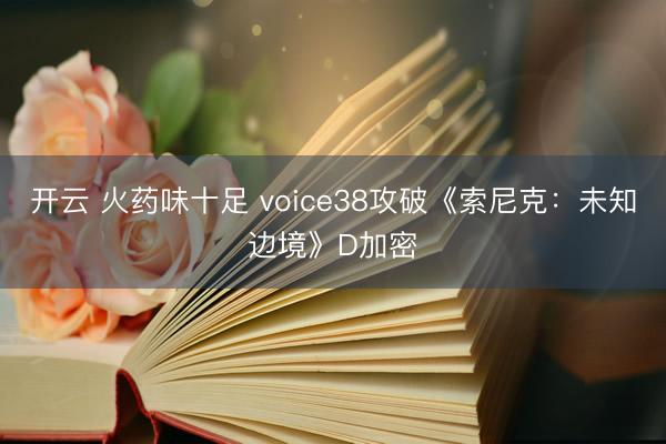 开云 火药味十足 voice38攻破《索尼克：未知边境》D加密