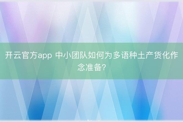 开云官方app 中小团队如何为多语种土产货化作念准备?