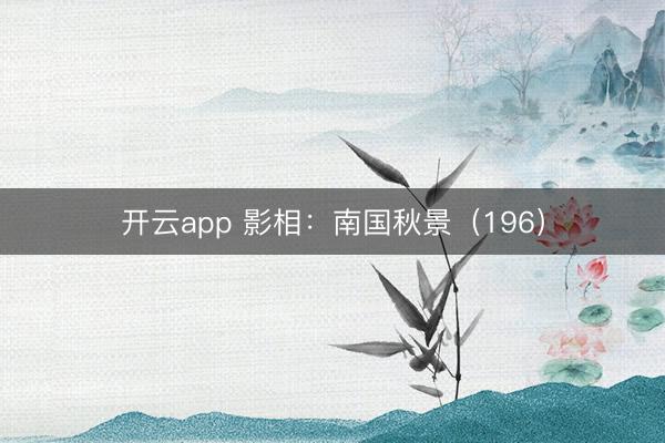 开云app 影相：南国秋景（196）