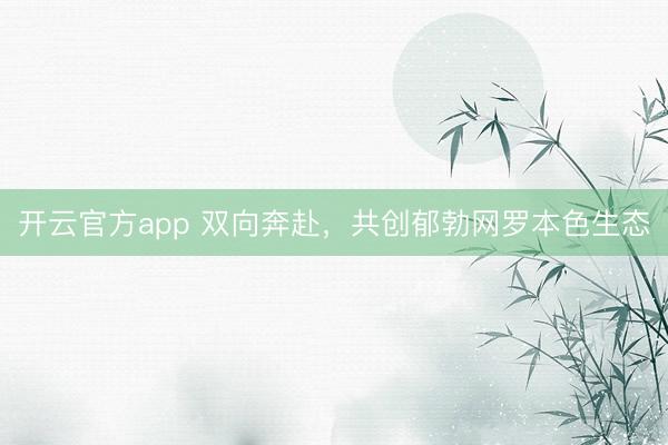 开云官方app 双向奔赴，共创郁勃网罗本色生态