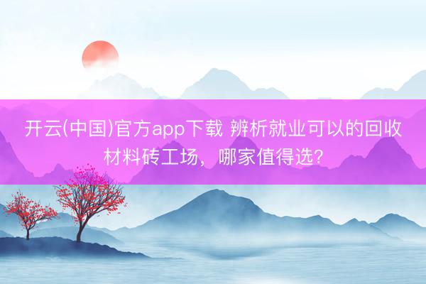 开云(中国)官方app下载 辨析就业可以的回收材料砖工场，哪家值得选？