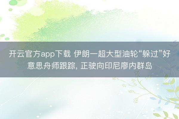 开云官方app下载 伊朗一超大型油轮“躲过”好意思舟师跟踪， 正驶向印尼廖内群岛
